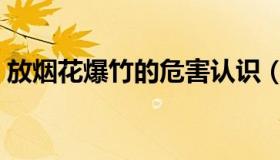 放烟花爆竹的危害认识（放烟花爆竹的危害）