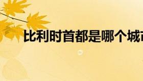 比利时首都是哪个城市（比利时首都）