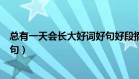 总有一天会长大好词好句好段摘抄（总有一天会长大好词好句）