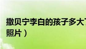 撒贝宁李白的孩子多大了（撒贝宁李白的孩子照片）