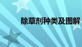 除草剂种类及图解（除草剂种类）