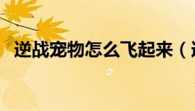 逆战宠物怎么飞起来（逆战宠物怎么获得）