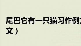 尾巴它有一只猫习作例文（尾巴它有一只狗作文）