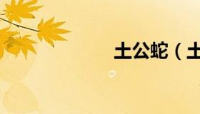 土公蛇（土公蛇）