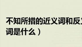 不知所措的近义词和反义词（不知所措的近义词是什么）