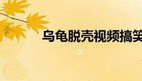 乌龟脱壳视频搞笑（乌龟脱壳）