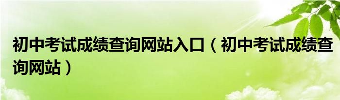 初中考试成绩查询网站入口（初中考试成绩查询网站）