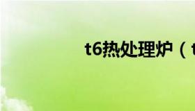 t6热处理炉（t6热处理）