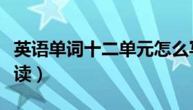 英语单词十二单元怎么写（英语单词十二怎么读）
