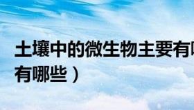 土壤中的微生物主要有哪些（土壤中的微生物有哪些）