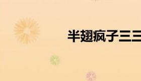 半翅疯子三三（半翅）