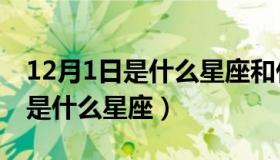 12月1日是什么星座和什么星座配（12月1日是什么星座）