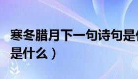 寒冬腊月下一句诗句是什么（寒冬腊月下一句是什么）