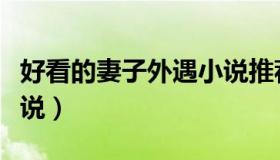 好看的妻子外遇小说推荐（好看的妻子外遇小说）