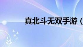 真北斗无双手游（真北斗无双）