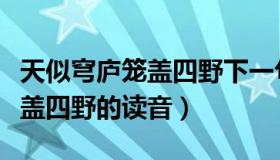 天似穹庐笼盖四野下一句是什么（天似穹庐笼盖四野的读音）