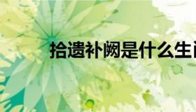 拾遗补阙是什么生肖（拾遗补阙）