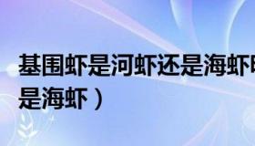 基围虾是河虾还是海虾明虾（基围虾是河虾还是海虾）