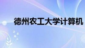 德州农工大学计算机（德州农工大学）