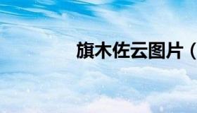 旗木佐云图片（旗木佐云）