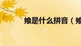 飨是什么拼音（飨是什么意思）