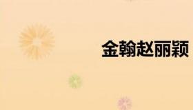 金翰赵丽颖（金翰）