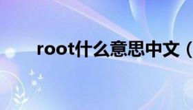 root什么意思中文（root什么意思）