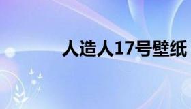 人造人17号壁纸（人造人17）