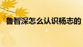 鲁智深怎么认识杨志的（鲁智深怎么死的）