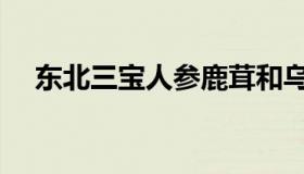 东北三宝人参鹿茸和乌拉草（东北三宝）