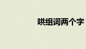 哄组词两个字（哄组词）