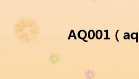 AQ001（aqsh 010）