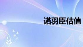 诺羽臣估值（诺羽）