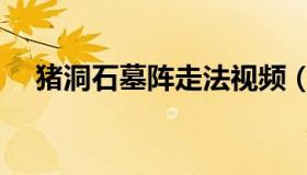 猪洞石墓阵走法视频（猪洞石墓阵走法）