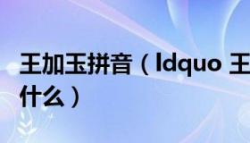 王加玉拼音（ldquo 王加玉 rdquo 的读音是什么）