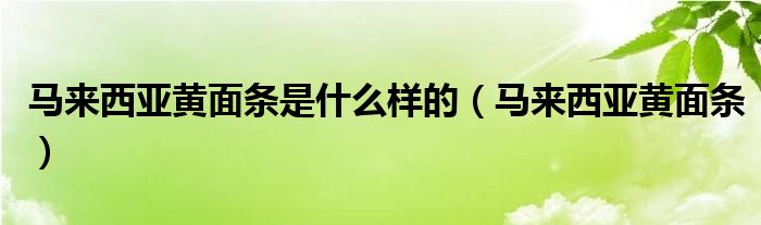 马来西亚黄面条是什么样的（马来西亚黄面条）