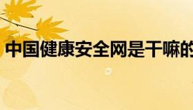 中国健康安全网是干嘛的（中国健康安全网）