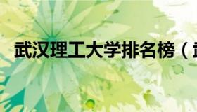 武汉理工大学排名榜（武汉理工大学排名）