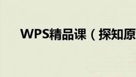 WPS精品课（探知原wps精品课官网）