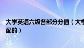 大学英语六级各部分分值（大学英语六级分值比重是怎样分配的）