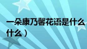 一朵康乃馨花语是什么（康乃馨花语每朵代表什么）