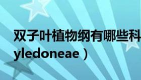双子叶植物纲有哪些科（双子叶植物纲dicotyledoneae）