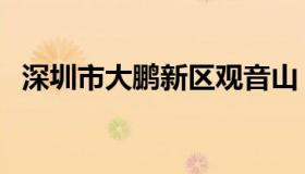 深圳市大鹏新区观音山（深圳市大鹏新区）