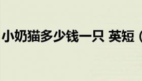 小奶猫多少钱一只 英短（小奶猫多少钱一只）