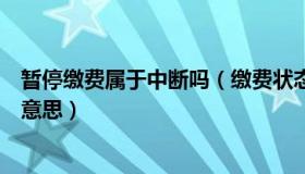暂停缴费属于中断吗（缴费状态显示终止和中断分别是什么意思）