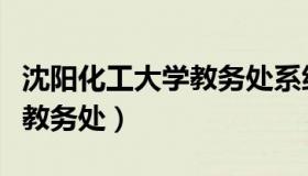 沈阳化工大学教务处系统官网（沈阳化工大学教务处）