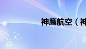 神鹰航空（神鹰火种）