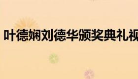 叶德娴刘德华颁奖典礼视频（叶德娴刘德华）