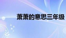 萧萧的意思三年级（萧萧的意思）