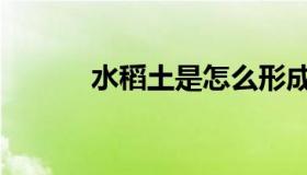 水稻土是怎么形成的（水稻土）
